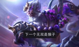 王者最新无双皮肤爆料,无双皮肤新爆料，神秘英雄华丽蜕变！